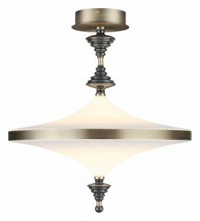 Светильник на штанге Odeon Light Ula 5404/43CL в Елабуге - elabuga.mebel24.online | фото 2