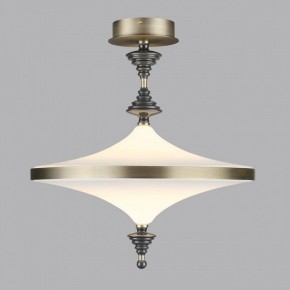 Светильник на штанге Odeon Light Ula 5404/43CL в Елабуге - elabuga.mebel24.online | фото 3