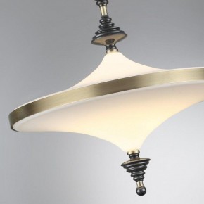 Светильник на штанге Odeon Light Ula 5404/43CL в Елабуге - elabuga.mebel24.online | фото 6