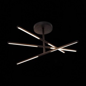 Светильник на штанге ST-Luce Ralio SL1580.403.03 в Елабуге - elabuga.mebel24.online | фото 3