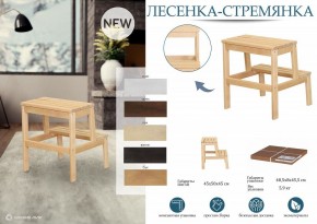 Табурет Стремянка в Елабуге - elabuga.mebel24.online | фото 6