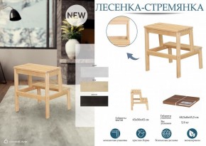 Табурет Стремянка в Елабуге - elabuga.mebel24.online | фото 3