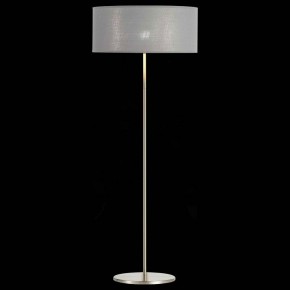 Торшер EVOLUCE Brescia SLE300515-01 в Елабуге - elabuga.mebel24.online | фото 3