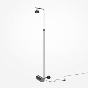 Торшер Maytoni Pikant MOD372FL-L10B3K в Елабуге - elabuga.mebel24.online | фото 2
