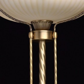 Торшер MW-Light Афродита 1 317040901 в Елабуге - elabuga.mebel24.online | фото 6