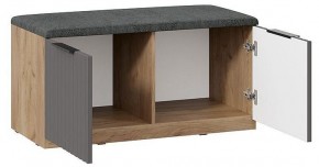 Тумба для обуви Хилтон Исп 2.2 в Елабуге - elabuga.mebel24.online | фото 2