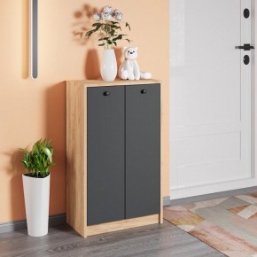 Тумба для обуви Рино в Елабуге - elabuga.mebel24.online | фото 3