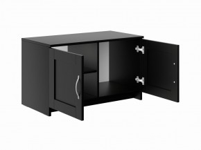 Тумба СИРИУС двухдверная низкая, цвет Дуб Венге в Елабуге - elabuga.mebel24.online | фото 3