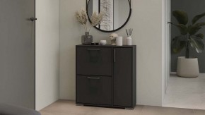 Тумбочка для обуви Тип 15 в Елабуге - elabuga.mebel24.online | фото 5