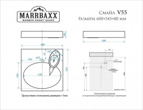 Умывальник над стиральной машиной (600*545*80) Смайл V55D1 (белый) с кронштейном без сифона (V55D1) в Елабуге - elabuga.mebel24.online | фото 2